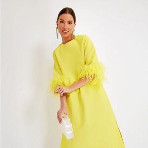 Tuckernuck Citron Feather Dress